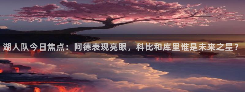 雨燕360体育直播全网发布.快速玩.org：湖人队今日焦点：阿德表现亮眼，科比和库里谁是未来之星？