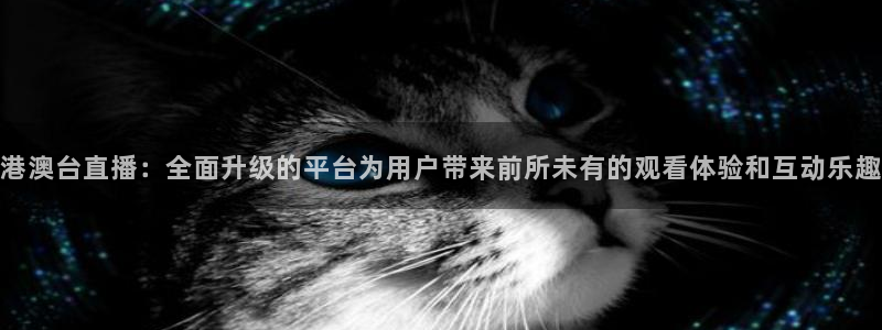 360直播nba直播：港澳台直播：全面升级的平台为用户带来前所未有的观看体验和互动乐趣