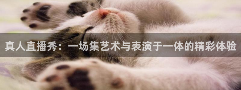 360体育直播手机版：真人直播秀：一场集艺术与表演于一体的精彩体验