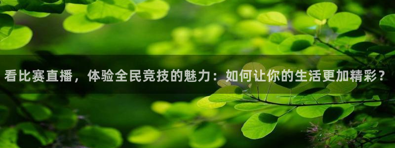 360篮球比赛直播网：看比赛直播，体验全民竞技的魅力：如何让你的生活更加精彩？