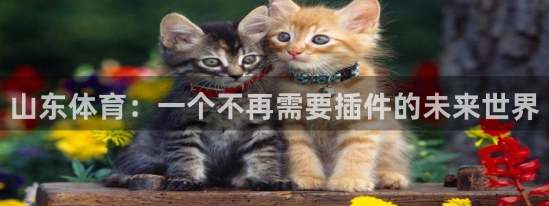 雨燕360体育直播全网发布.快速玩.org：山东体育：一个不再需要插件的未来世界