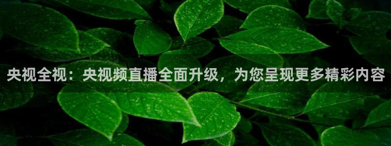 360绿色直播体育直播：央视全视：央视频直播全面升级，为您呈现更多精彩内容