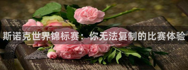 360 体育直播：斯诺克世界锦标赛：你无法复制的比赛体验