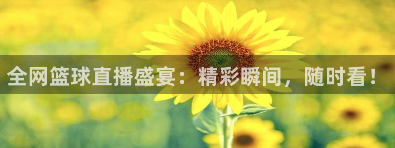 雨燕360体育直播足球罗甲：全网篮球直播盛宴：精彩瞬间，随时看！