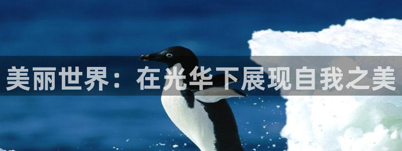 雨燕360直播足球：美丽世界：在光华下展现自我之美