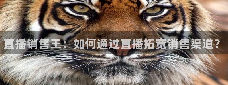 360直播网体育直播视频：直播销售王：如何通过直播拓宽销售渠道？
