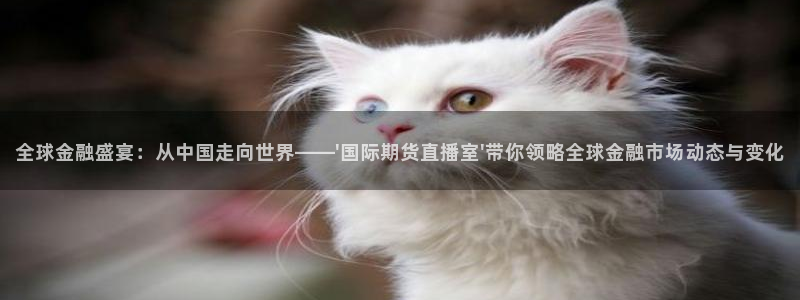 360直播nba直播：全球金融盛宴：从中国走向世界——\'国际期货直播室\'带你领略全球金融市场动态与变化