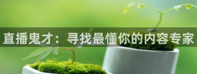 山东360体育直播在线观看：直播鬼才：寻找最懂你的内容专家